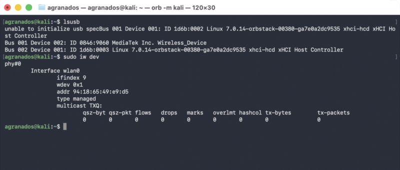 Kali terminal showing lsusb with device 0846:9060 listed, and iw dev below it reporting a phy and the wireless interface created for it.